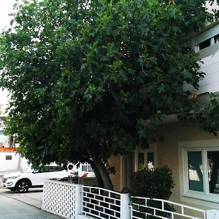 Smokva Vodice