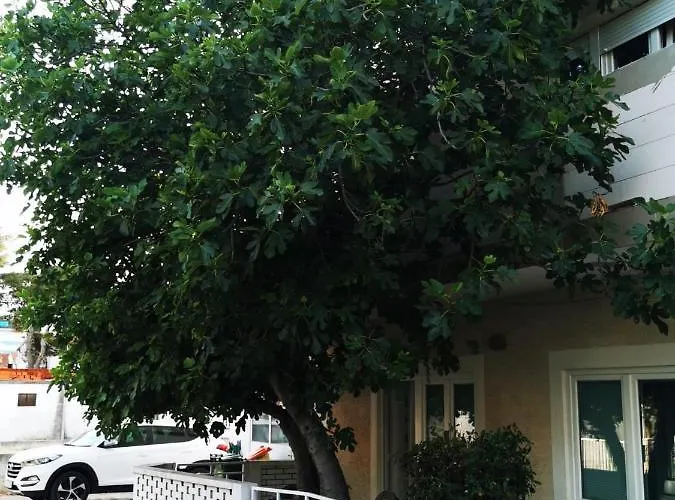 Smokva ヴォディツェ