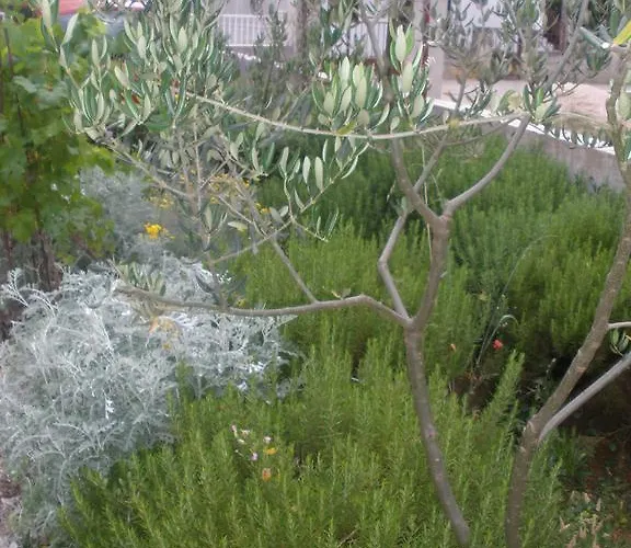 Smokva Gasthuis Vodice